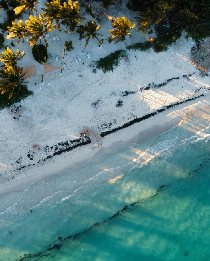 A Playa del Carmen Handbook curated by Melissa Pacheco