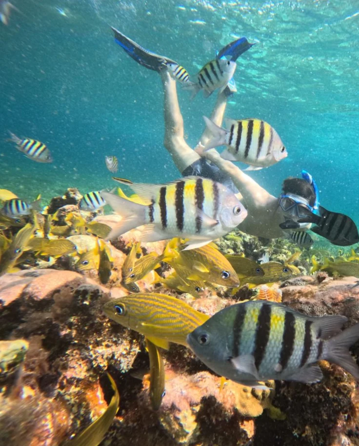 Snorkeling in Cozumel, Mexico curated by Tanya Raedeke