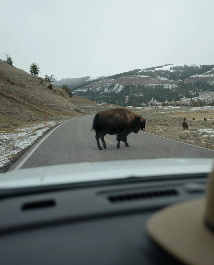 Saddle Up in Style: Curated Stays in the American Mountain West curated by Daphne Lin