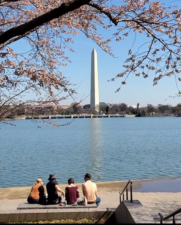 Discover DC: A Blend of History, Cherry Blossoms, Museums & More curated by Madeleine Villanueva