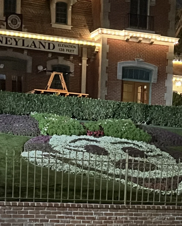 Toddler Rides and Power Naps: Navigating Disneyland with Little Ones curated by Kai Mitchell