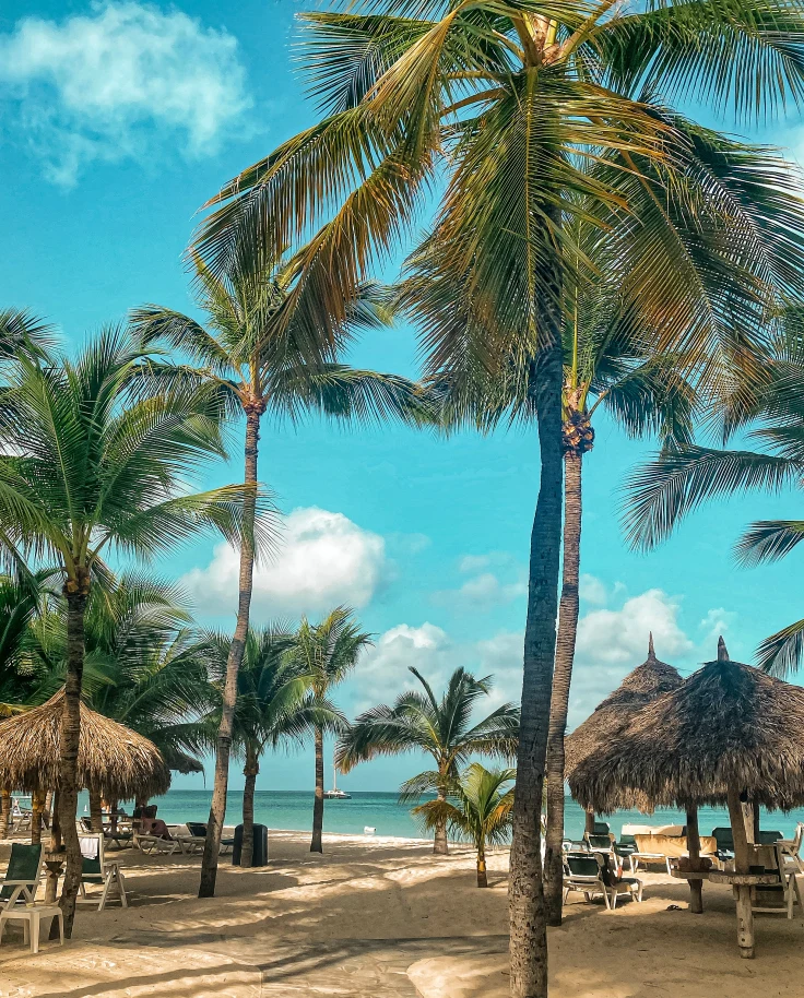 The Ultimate Guide to One Happy Island: Aruba curated by Rachel Phillips