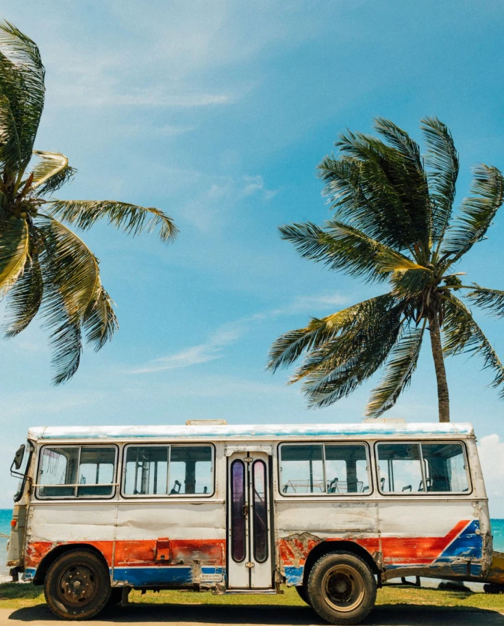 White and blue bus near palm tree under blue sky during daytime