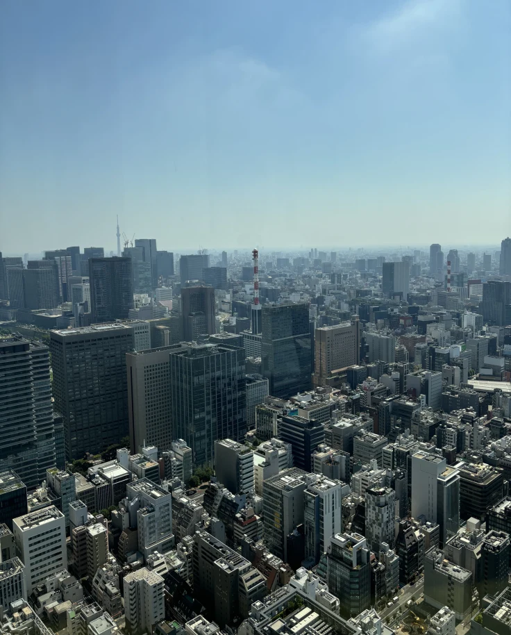 Aerial view of a city full of skyscraper buildings