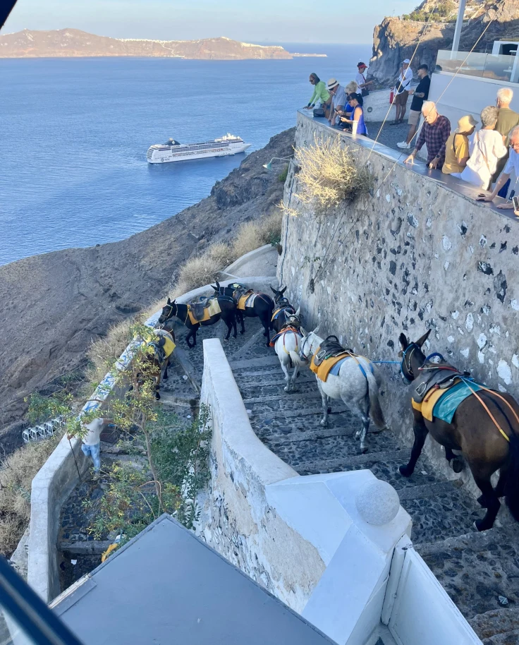 A view of donkeys walking down steps towards the ocean with people watching above.