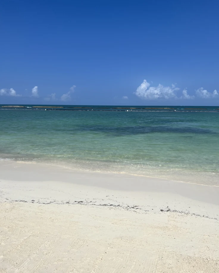 Rosewood beach during the day with a clear sky.