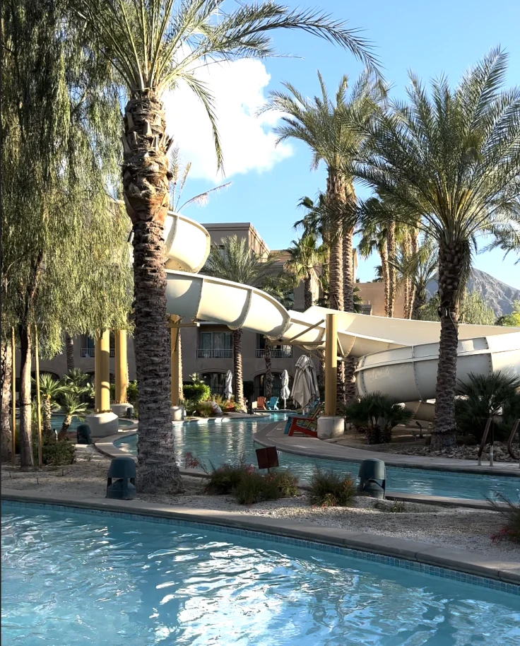 A pool area with palm trees during the daytime