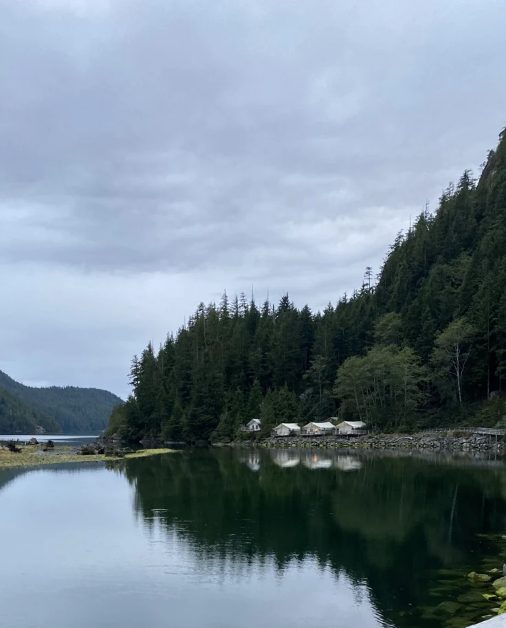 A view of a calm lake reflecting large pine trees, a mountain and white tents set up on a rocky shore.