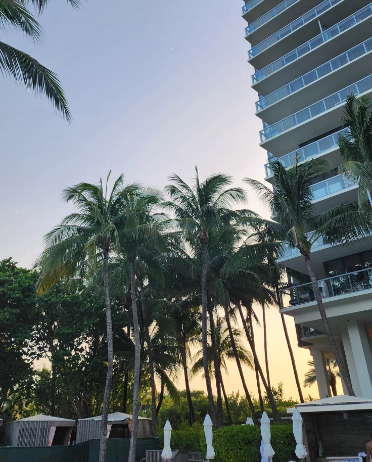 A low-angled view of the hotel tower of the W South Beach with palm trees at sunset