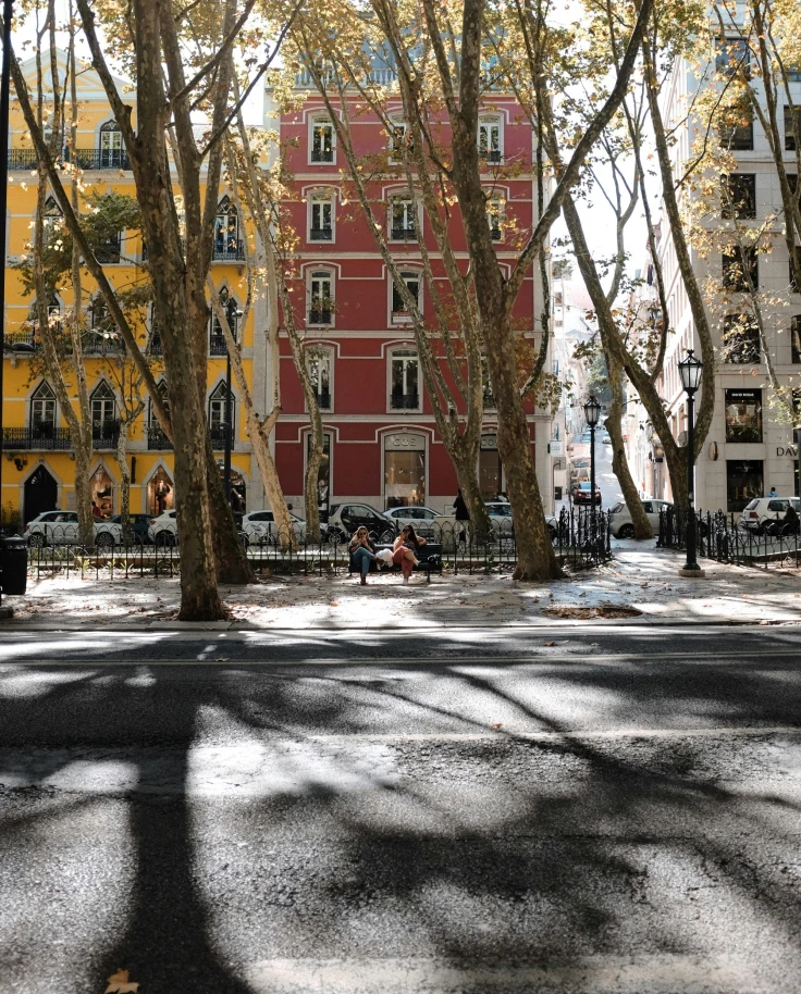 A city street with red and yellow buildings in the background with tall trees in view casting shadows on the ground.