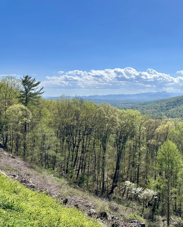 A landscape view of mountains and forests under a blue, North Carolina sky.