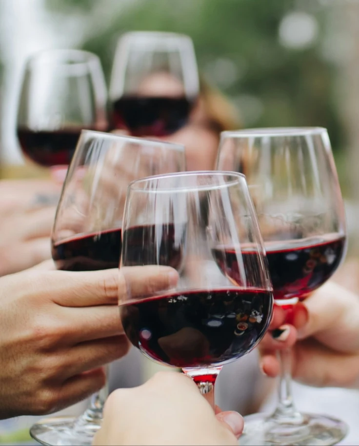 A group of people holding red-filled wine glasses together to cheers one-another.