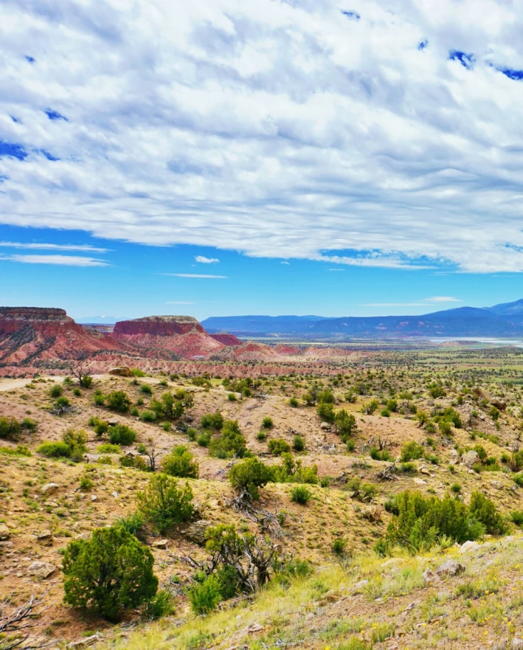 A valley in New Mexico with cacti, and red rocks and mountains in the distance
