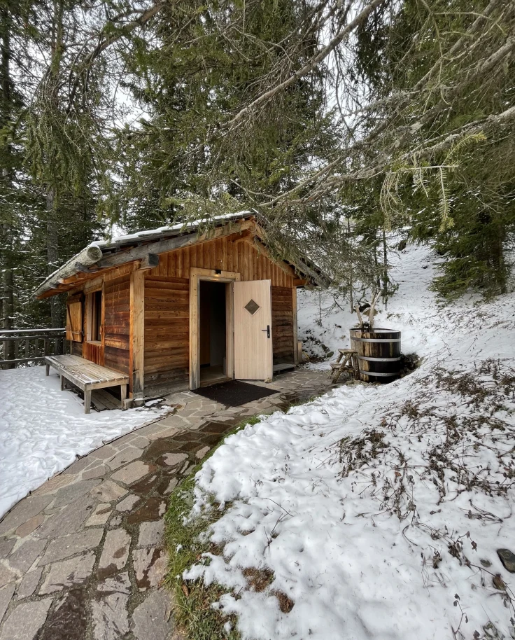 Forestis Sauna. Cold Pluge - Daryn Schwartz