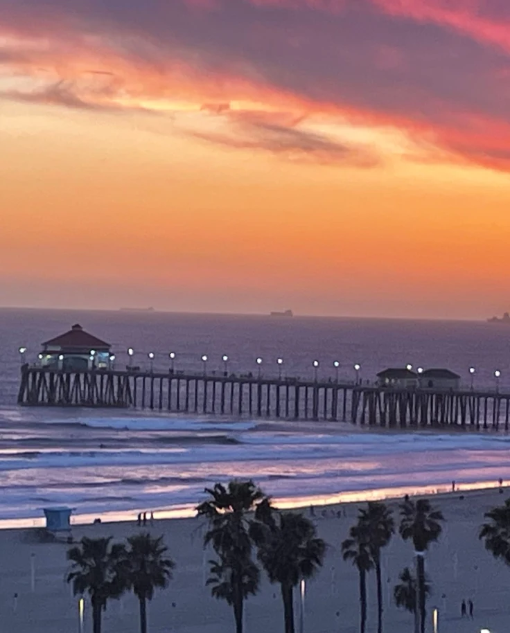 Sunset over the beach with a pier and palm trees in view  - Michelle Roe