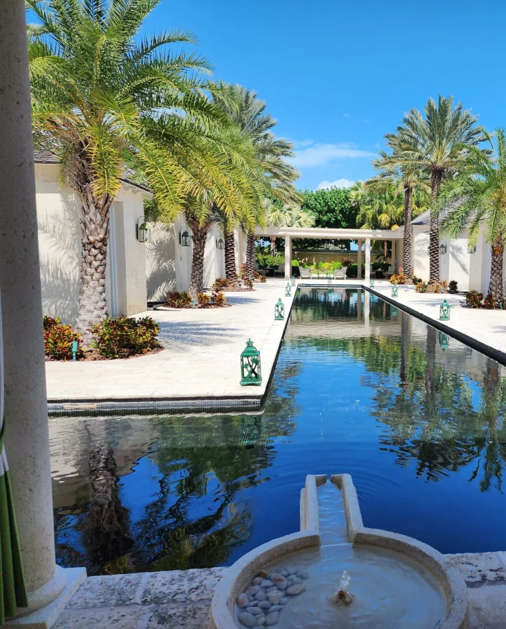 A view from the spa at The Palms overlooking a reflecting pool surrounded by palm trees under a clear sky.