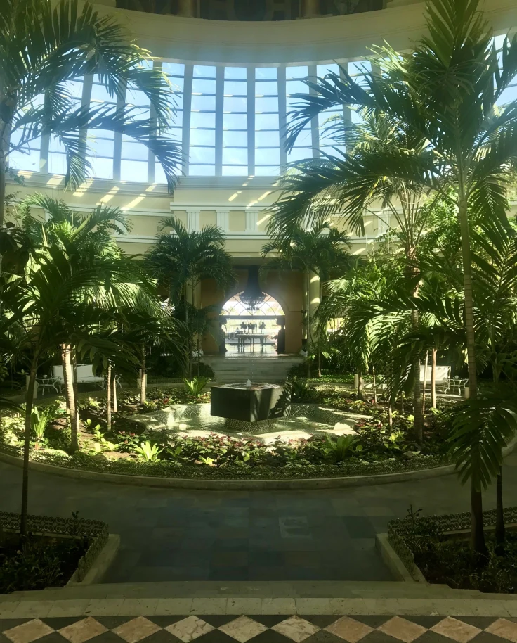 An indoor plant atrium
