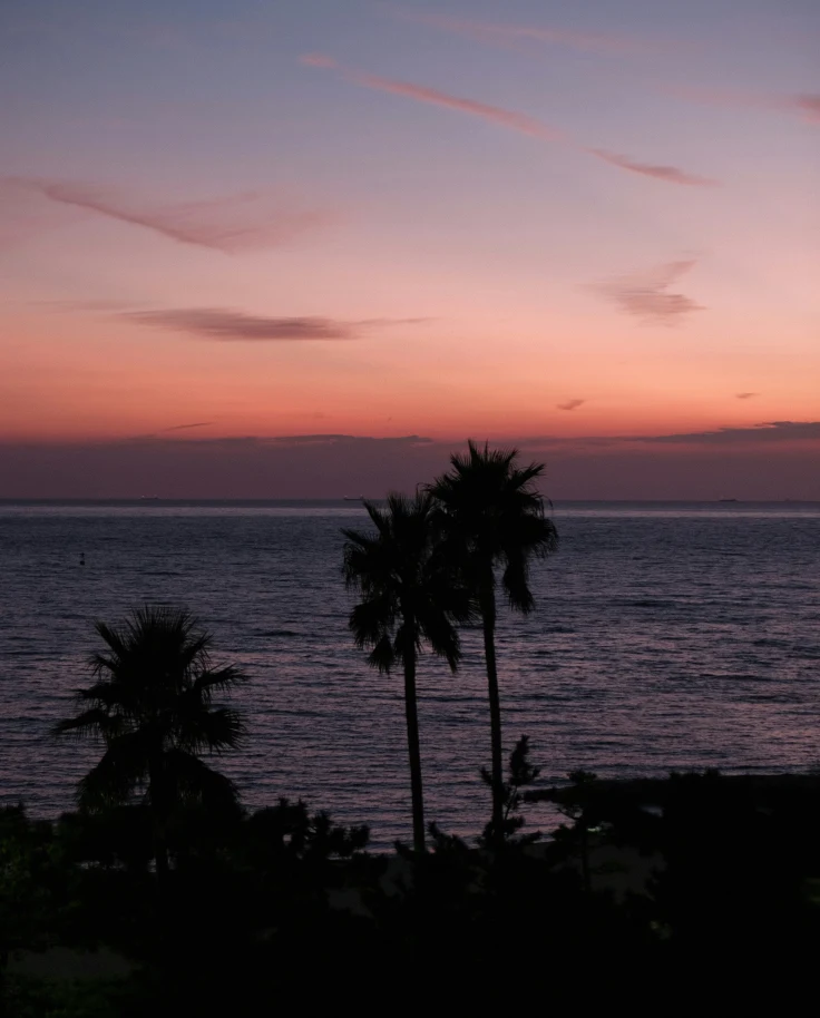 Twilight at Shirahama Beach, with palm trees in the foreground, in the summer in Japan.