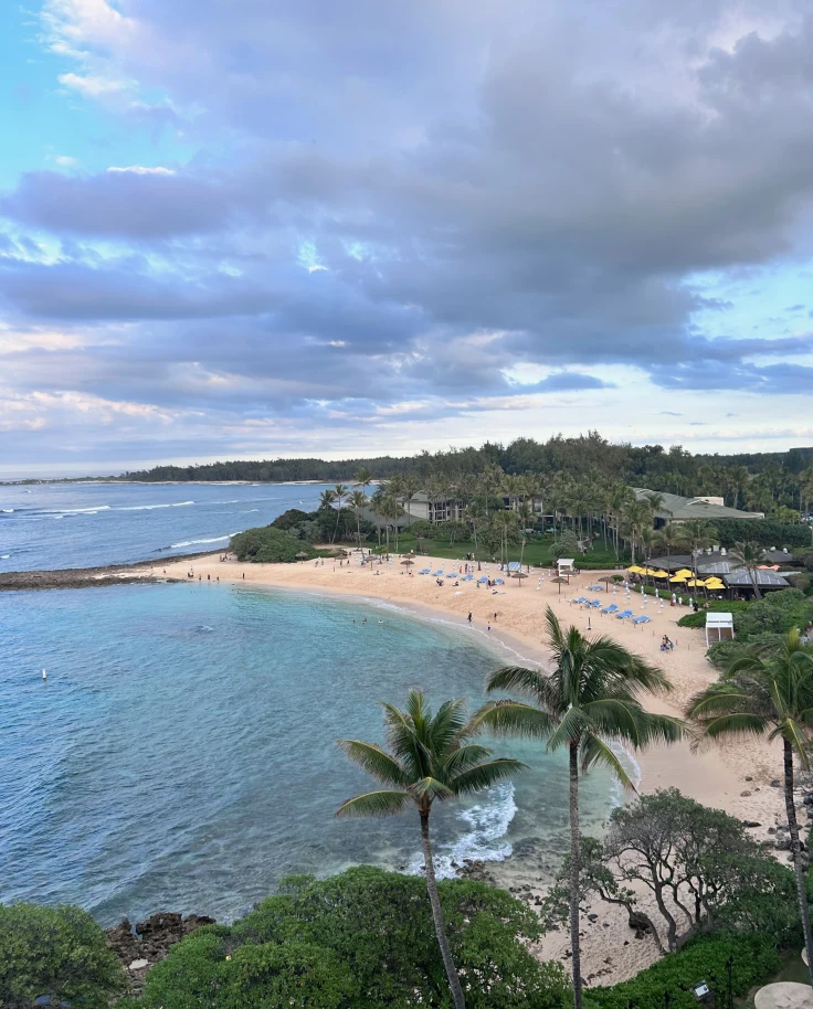 Aerial view of a beach during the daytime