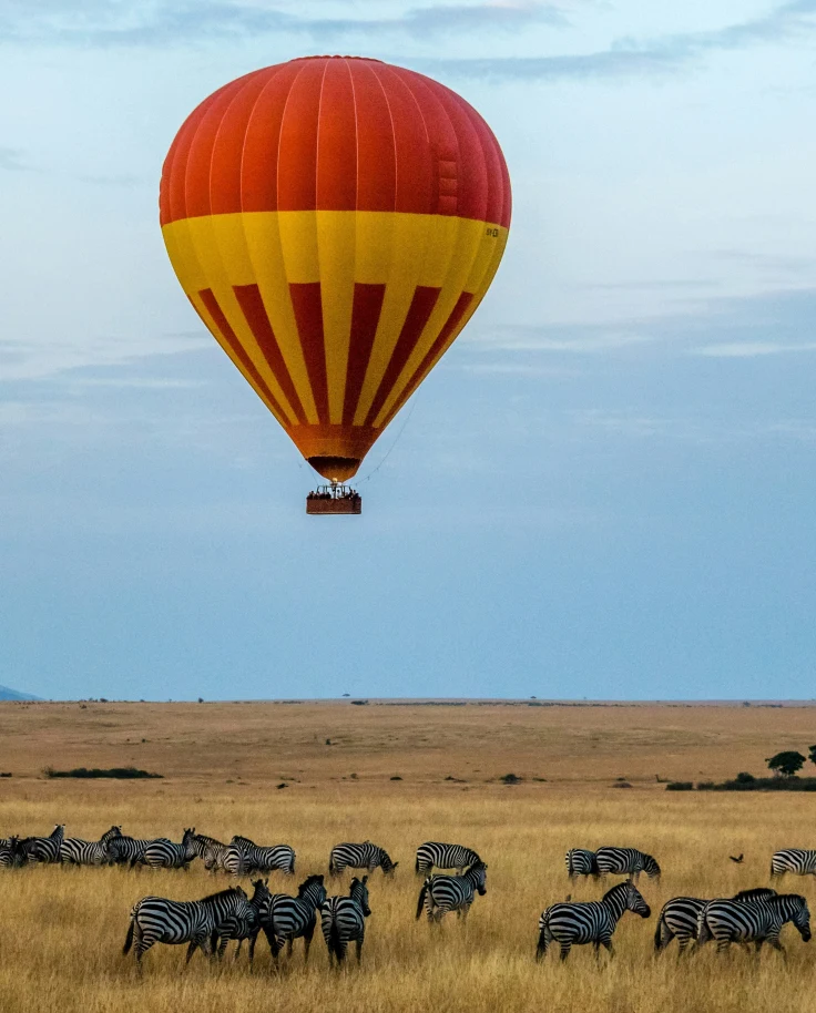 A hot air balloon over group of zebras
