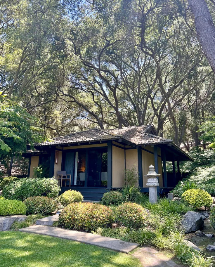 A beautiful hut in the forest