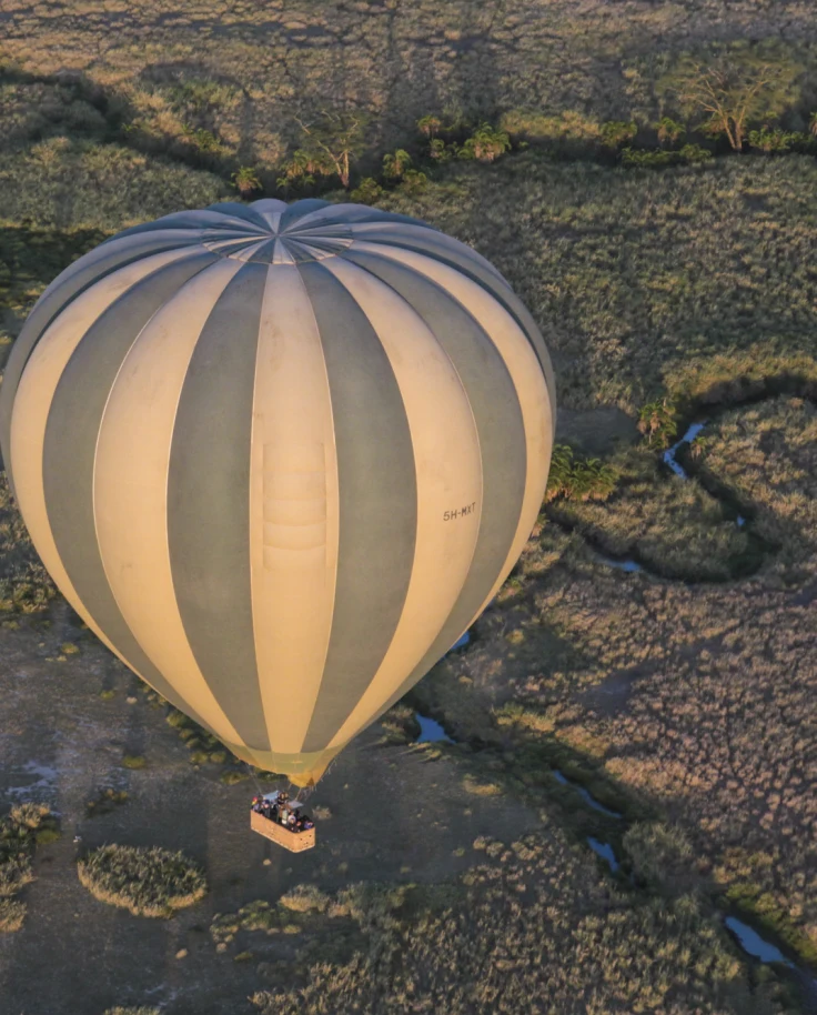 Serengeti Hot Air Balloon - Marvic Cordina