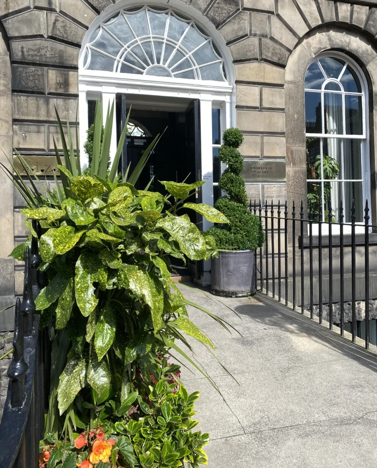 Hotel entrance with stone walls and large tropical plants.