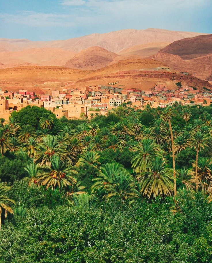 This image depicts a view of a desert-like city scape, palm trees and sandy mountains.
