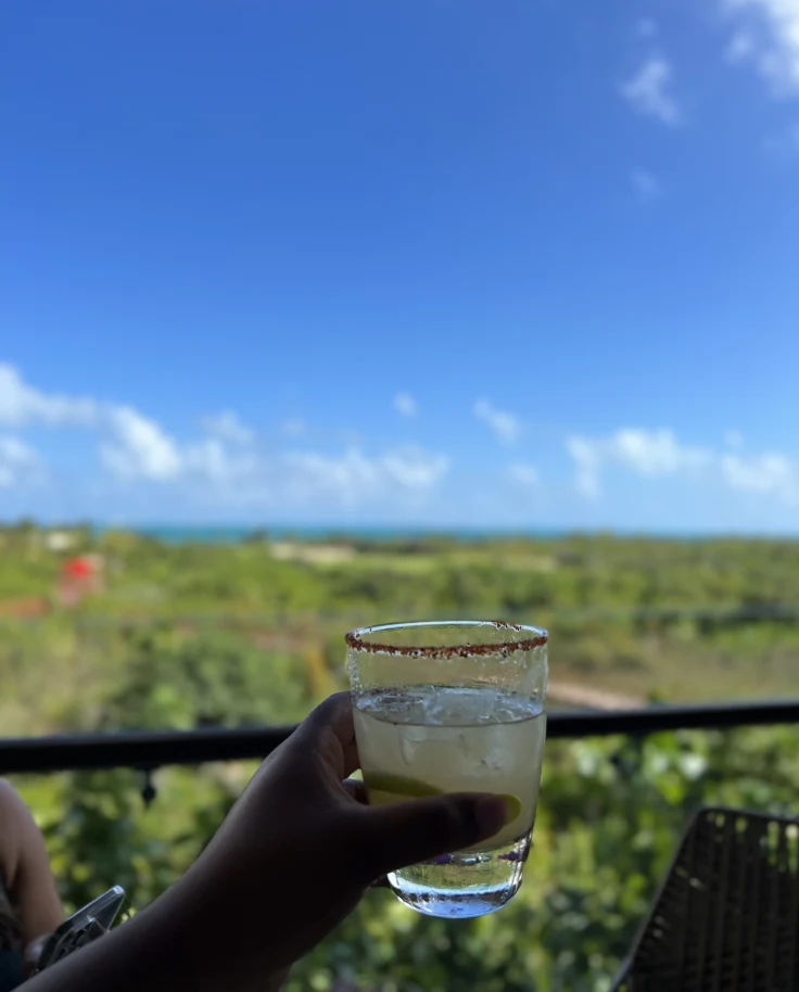 A person holding up a cocktail against a green landscape background