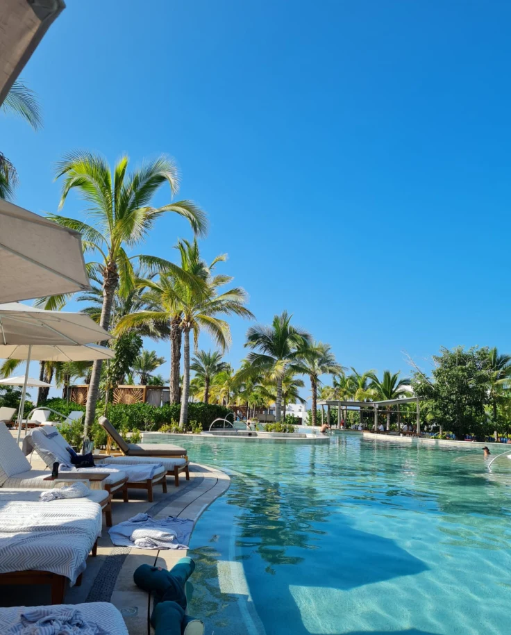 A swimming pool area during the daytime with pool loungers and palm trees