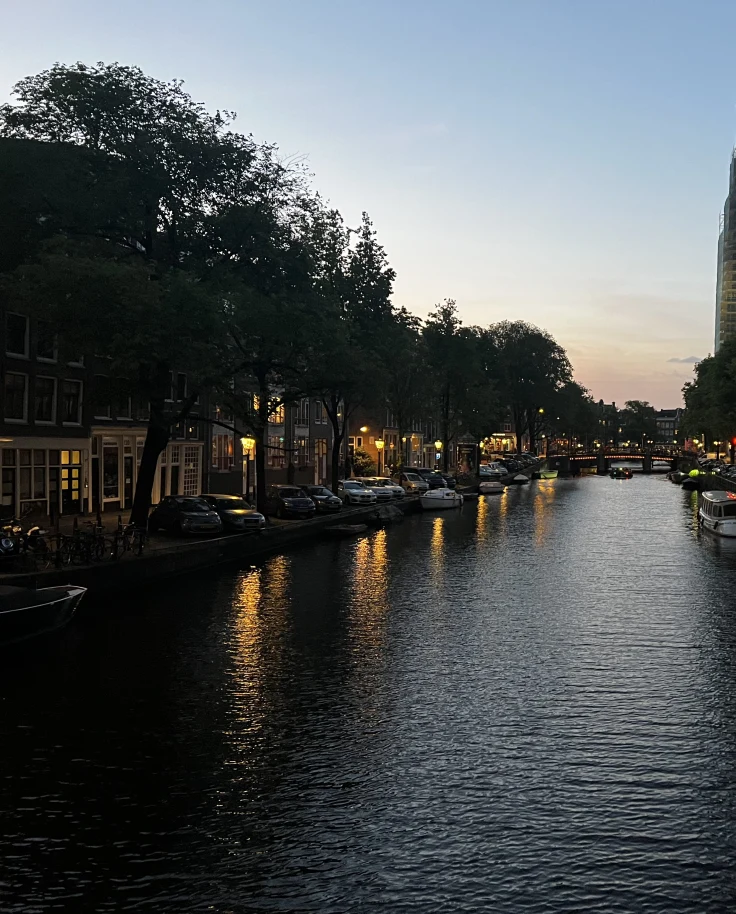 A beautiful view