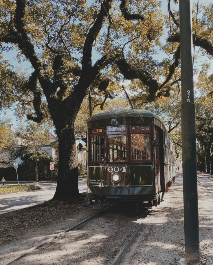 Dark green bus in motion under a tree close to the Higgins Hotel, New Orleans
