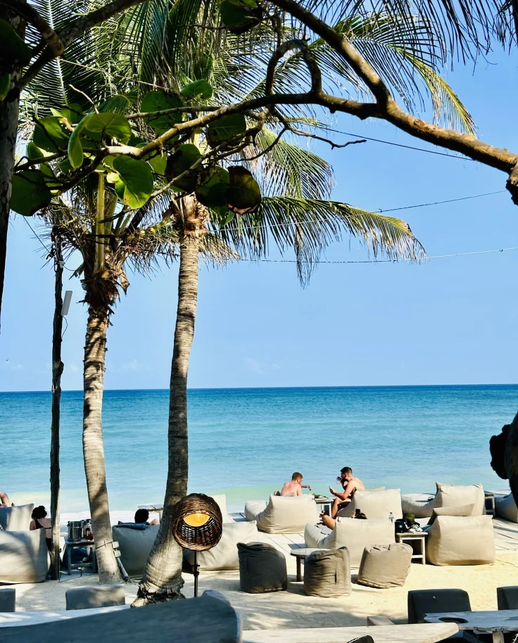 A picture of two people sitting in lounge chairs next to a beach and turquoise blue water. There are palm trees standing tall above them, too.