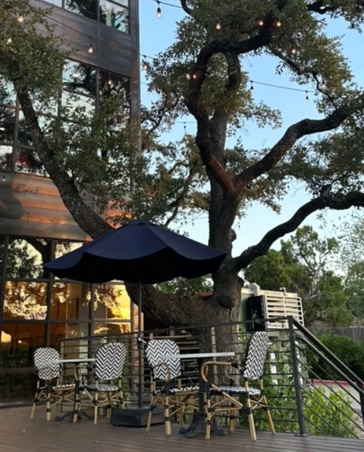 A view of Colton from the patio seating under a large tree with twinkle lights dangling overhead.