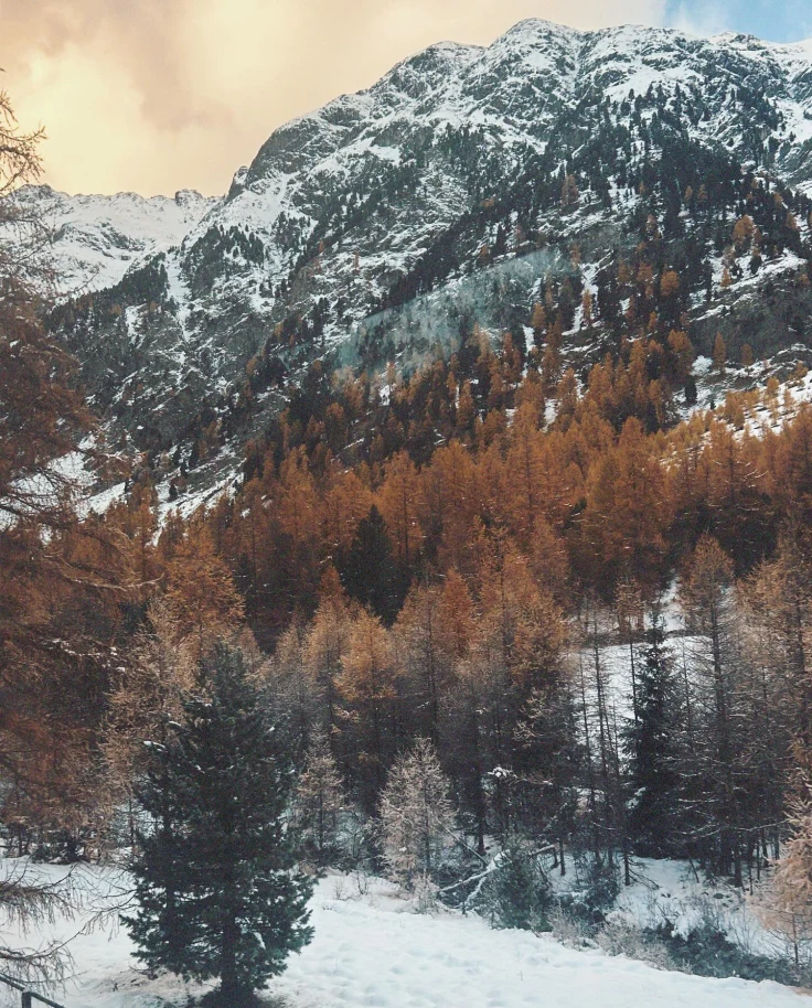 View of a snowy region