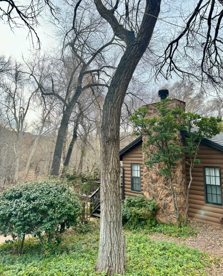 Creek cottage - Chanda Daly