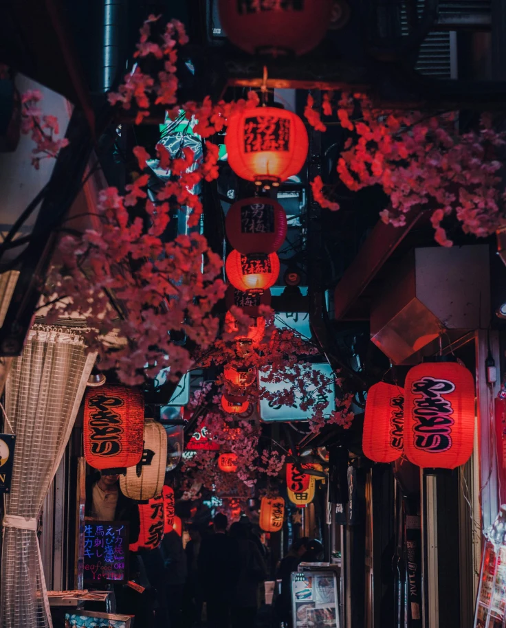 One of the famous streets to visit in Japan, decorated with red hanging lanterns and flowers