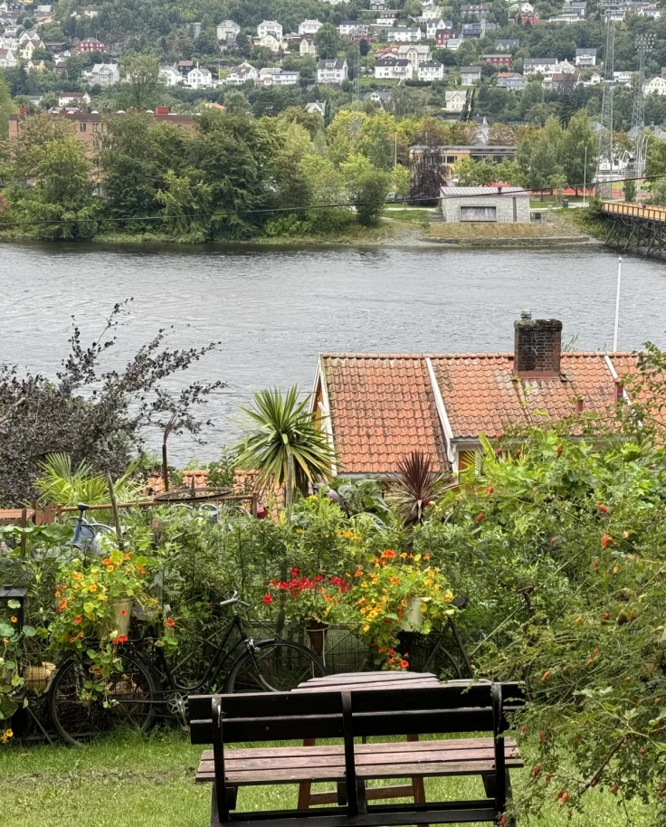 Lake and lakeside view during the daytime