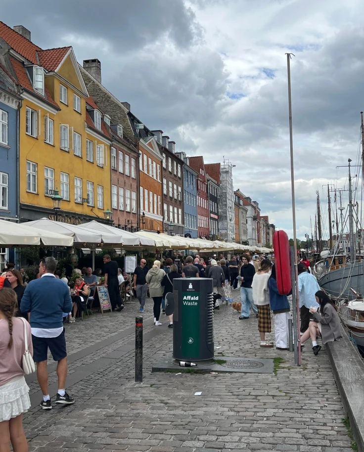 Colorful historical homes lining a cobblestone street.
