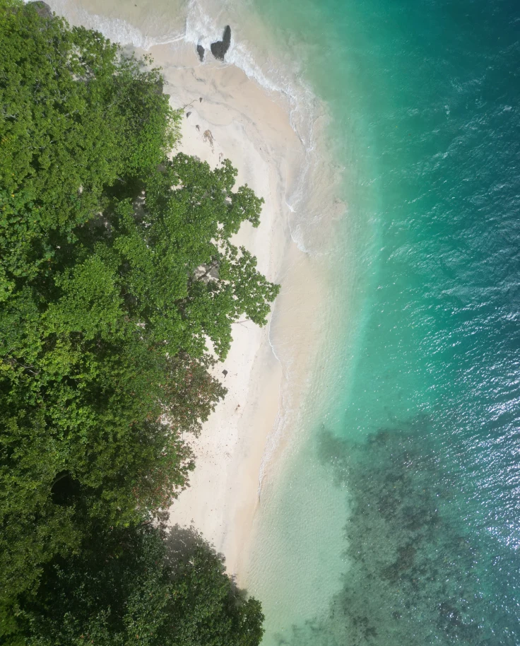 A bird's eye view of crystal-clear waters lapping a white-sand beach amid lush foliage.