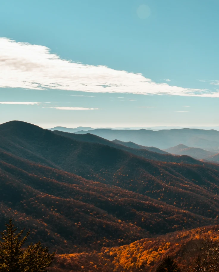 A view of Blue Ridge Parkway in Asheville – golden mountains with trees and a blue sky