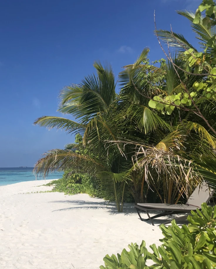 View of the sea and beach