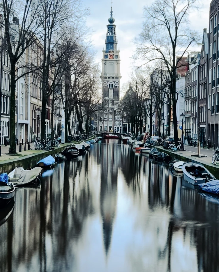 A canal in Amsterdam gleams in the sunlight as trees reflect on the water with boats lining the shore.