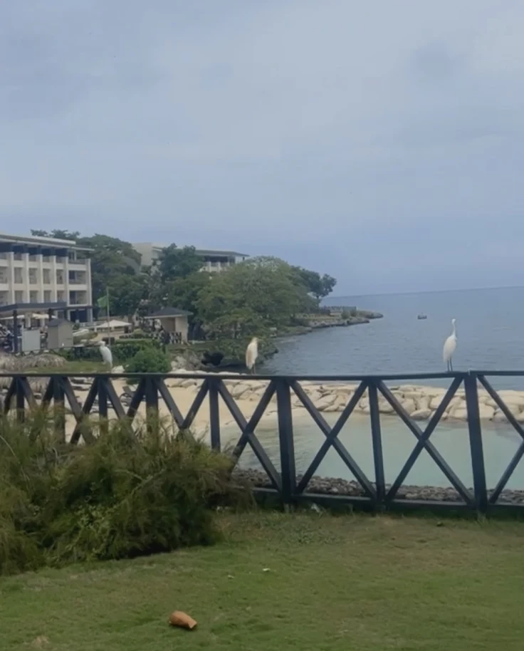 Sea and seaside view