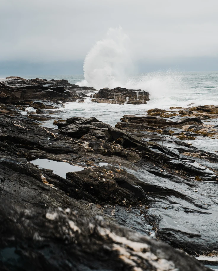 Sea and seaside view