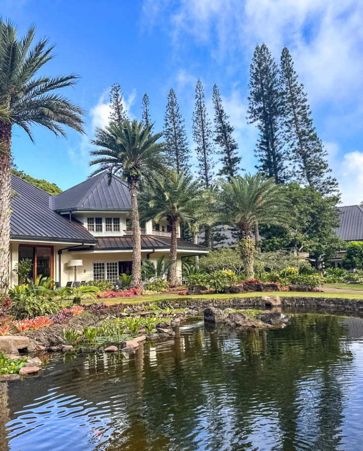 Lake and lakeside view