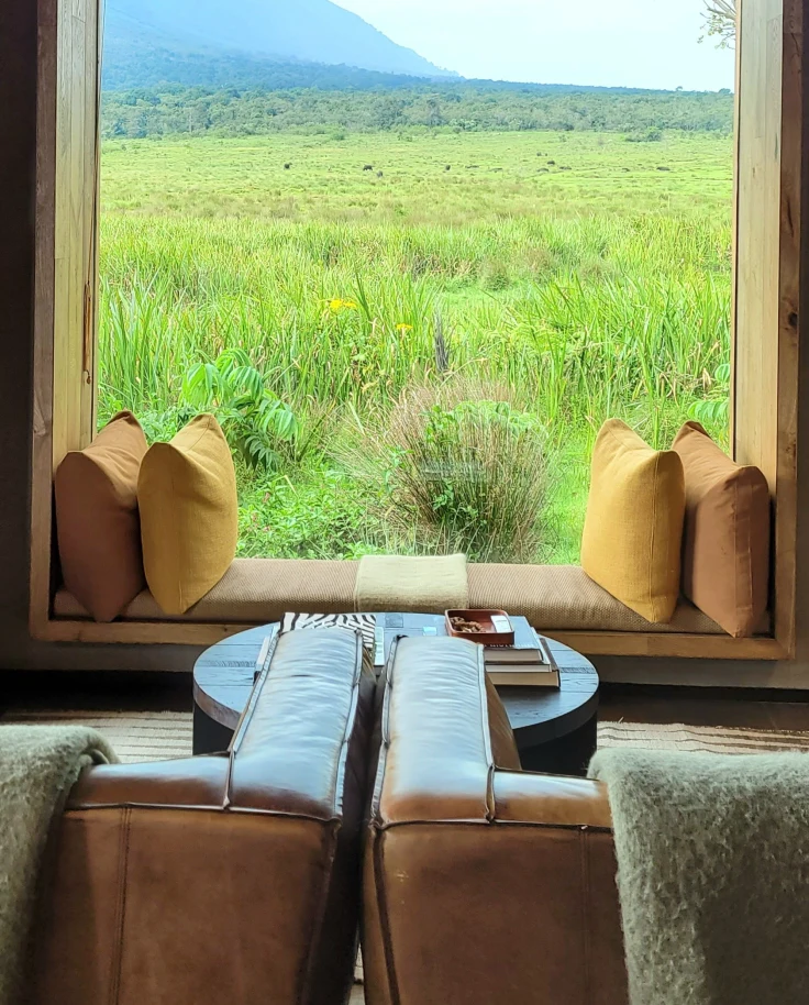 This image depicts a couch and seating area against a floor to ceiling window that looks out to grassy terrain and a mountain.