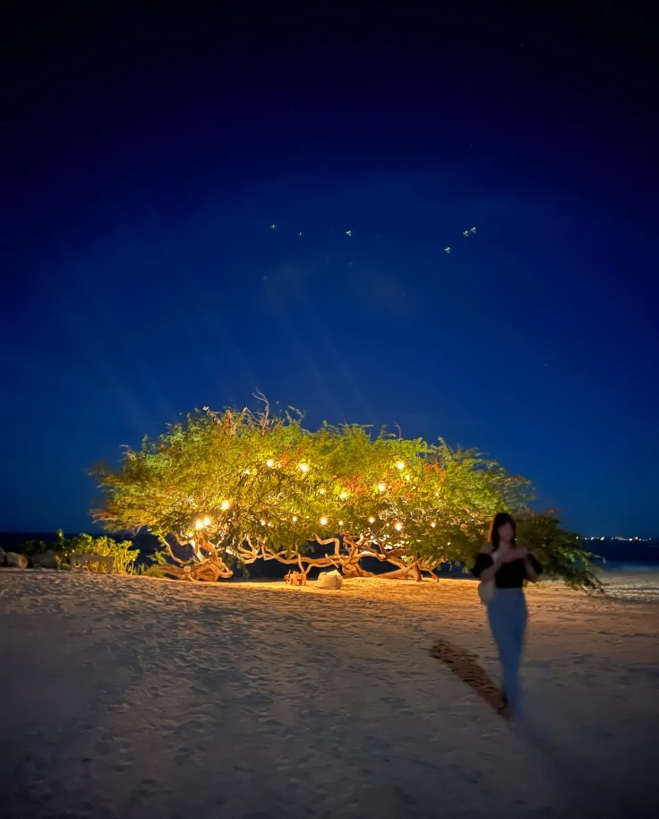 A photo of a few intertwining trees on a beach and dressed with strings of lights, illuminating the night sky behind it with a woman walking towards the camera.
