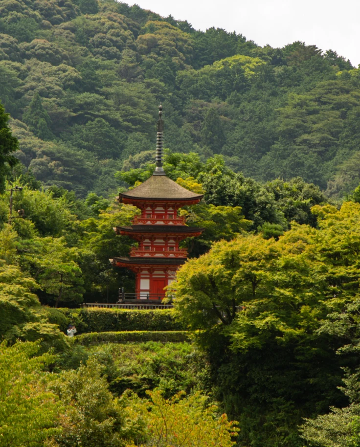 Japanese building in the middle of trees and mountains.