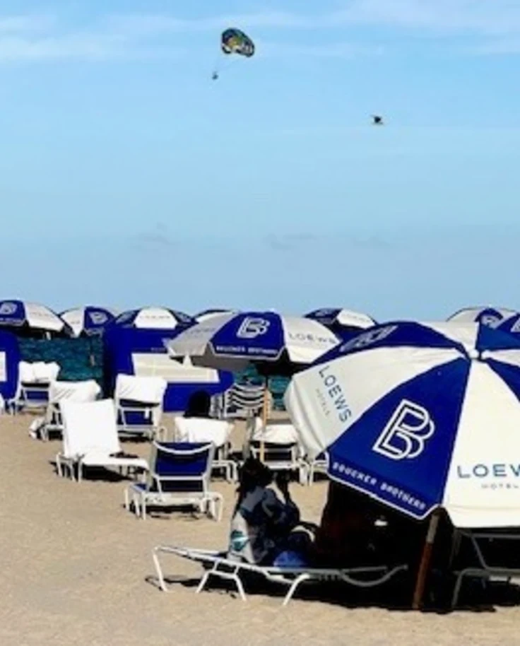 Shade umbrellas on a beach with windsurfers overhead.